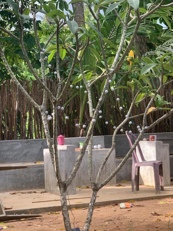 Auberge de jeunesse Pranaya Hiriketiya à Dikwella Extérieur photo